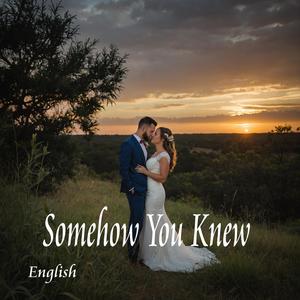 Somehow You Knew