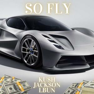 SO FLY (Explicit)