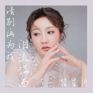 请别再为我泪流满面 (伴奏)