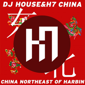 东北哈尔滨 (Electronic Mix)
