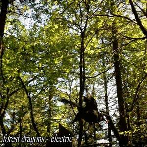 Summers Long in the Woods