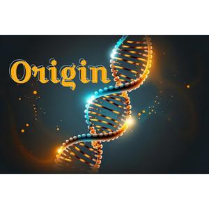 How many? (Explicit)