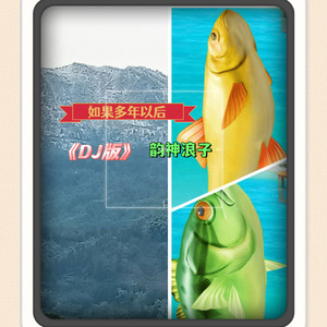 如果多年以后 (DJ版)