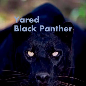 Black Panther