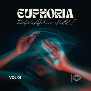 Euphoria (feat. AGWINNER & ViiiBEZ) [Explicit]