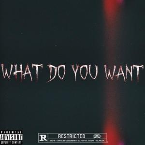 What Do You Want (Explicit)