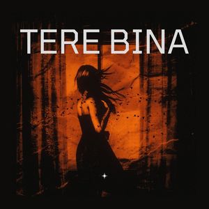 Tere Bina