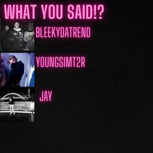 what u said! (feat. youngsimt2r & jay!)