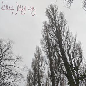 Blue Jay Way