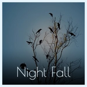 Destiny Calls 6 Part C