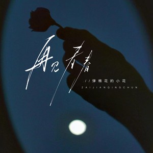 弹棉花的小花 - 再见青春 (DJ阿布版)