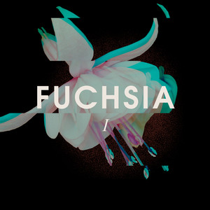 Fuchsia I (ambient version)
