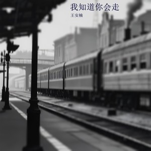 我知道你会走