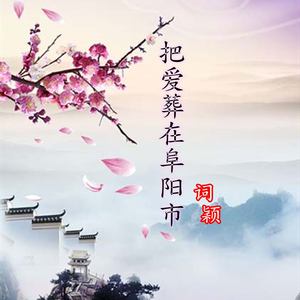 把爱葬在阜阳市