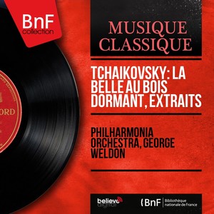 The Sleeping Beauty, Op. 66, Act III - No. 28, Pas de deux. Variation II 