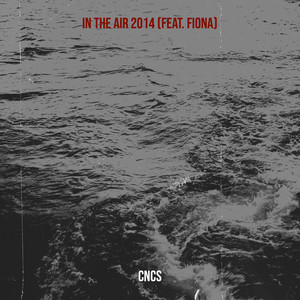 In the Air 2014