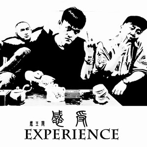 感受