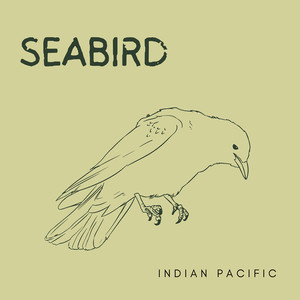 Seabird