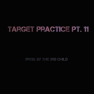 Target Practice, Pt. 11