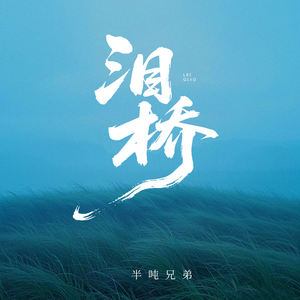 泪桥 (烟嗓版)