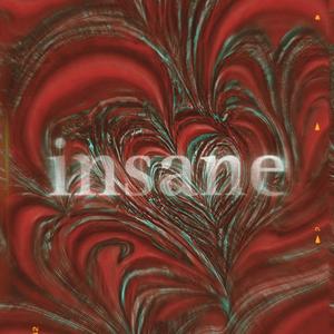 insane (feat. Demarskii) [Explicit]