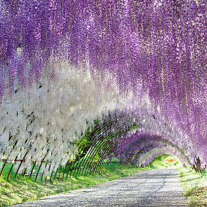 Last Summer (Explicit)