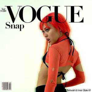 Vogue Snap, Vol. 1