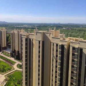 我的情深你若懂