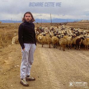 Bizarre cette vie (Explicit)