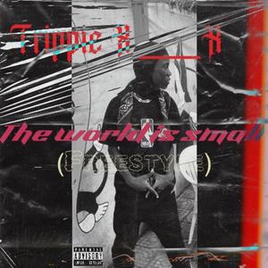 THE WORLD IS SMALL (Explicit)