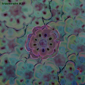 traversée 02