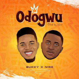 Odogwu (feat. Niro)