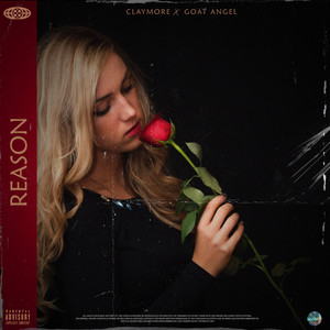 Reason (Explicit)