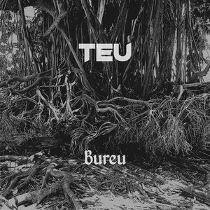 BUREU