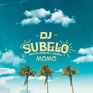 Dj Subelo