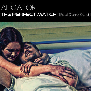 The Perfect Match(feat. Daniel Kandi) (Aligator's Chill Out Mix)
