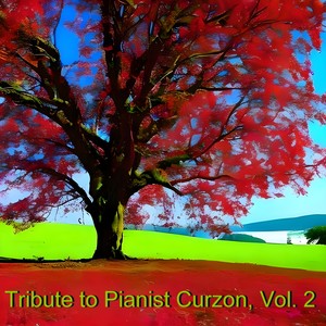 Piano Concerto 1 in D Minor, Op. 15 - II. Adagio