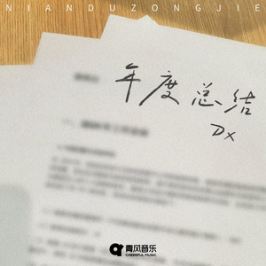 年度总结-Dx