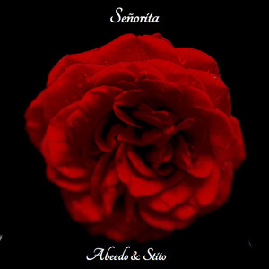 Señorita (Explicit)