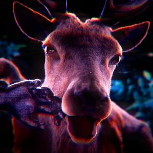 Don't Make A Move (99 Nights In The Forest Song)