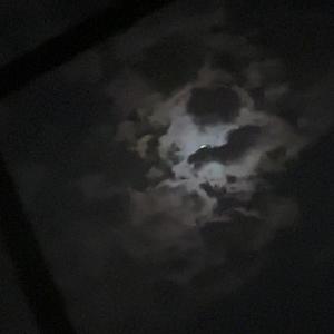 back door (Explicit)