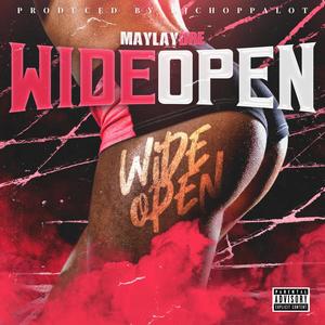 Wide Open (Explicit)