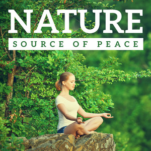 Induce Peace and Stillness Within