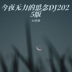 今夜无力的思念DJ2025版