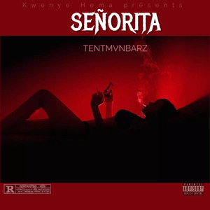 Senorita (Explicit)