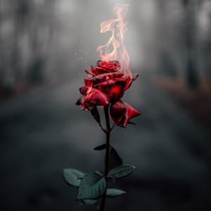 By Any Means (Explicit)