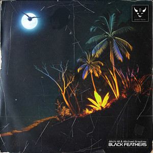 Black Feathers (Tech Mix - Extended Version)