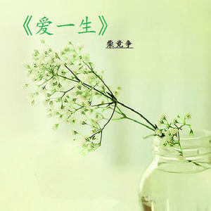 眼泪证明我爱过