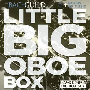 Little Big Oboe Box