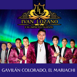 Gavilán Colorado, el Mariachi